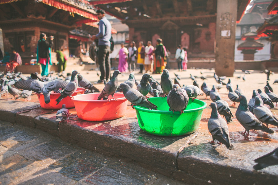 Nepal Reisefotos Abenteuer 007