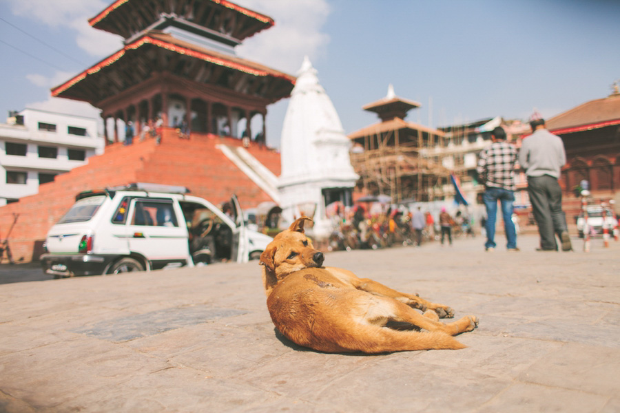 Nepal Reisefotos Abenteuer 015