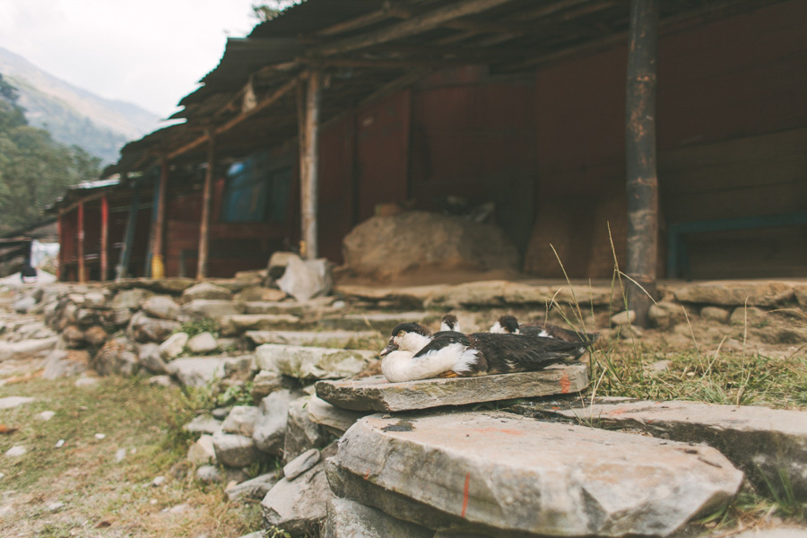Nepal Reisefotos Abenteuer 094