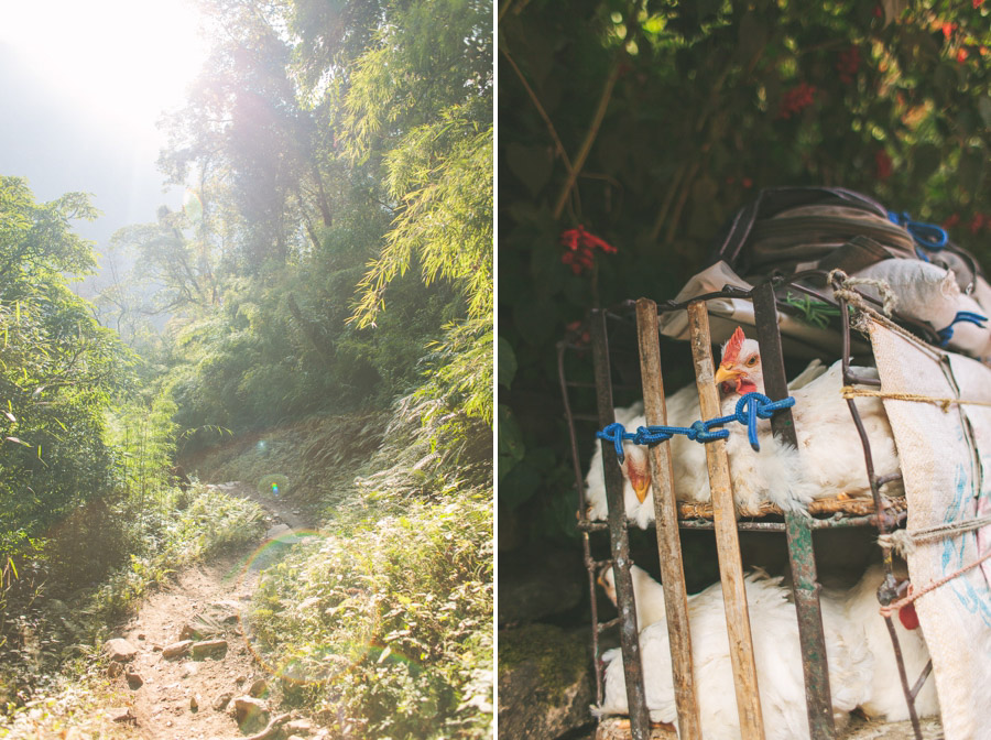 Nepal Reisefotos Abenteuer 120
