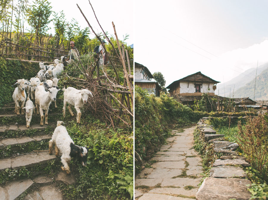 Nepal Reisefotos Abenteuer 134