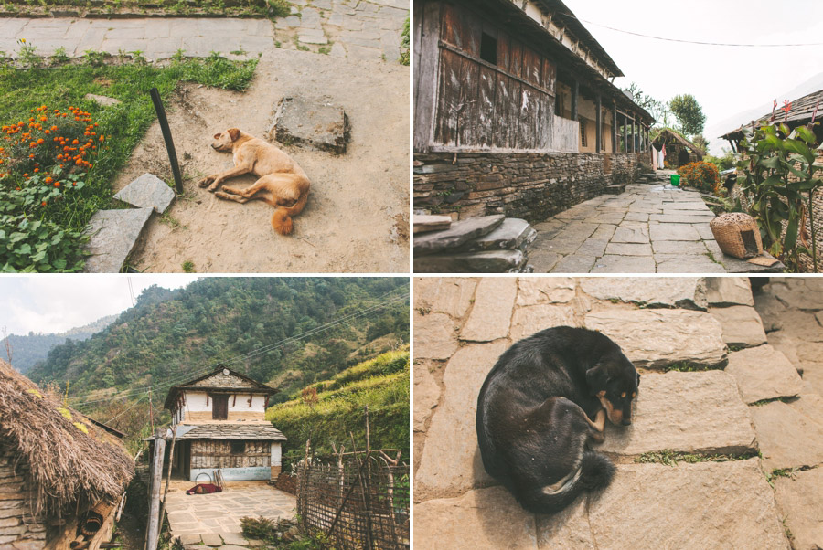 Nepal Reisefotos Abenteuer 135