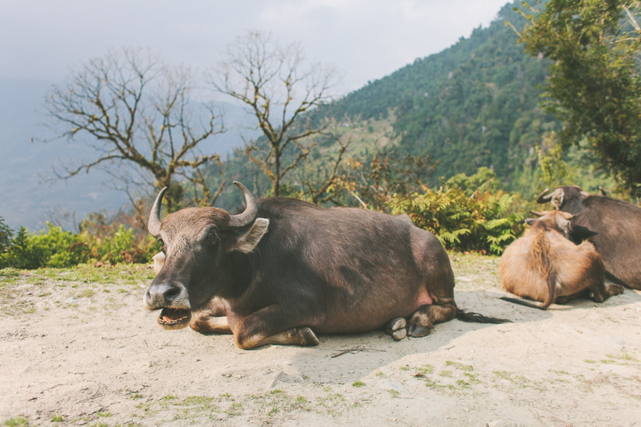 Nepal Reisefotos Abenteuer 144