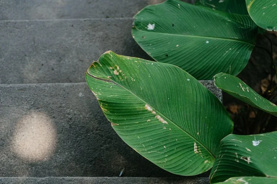 Bali, reisebilder